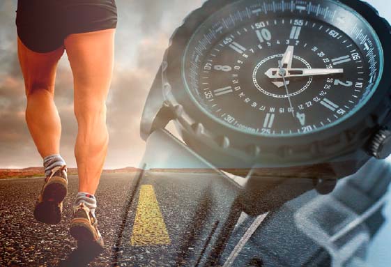 Hochintensives Krafttraining baut nicht nur Muskeln auf, es steigert auch die Ausdauerleistung
